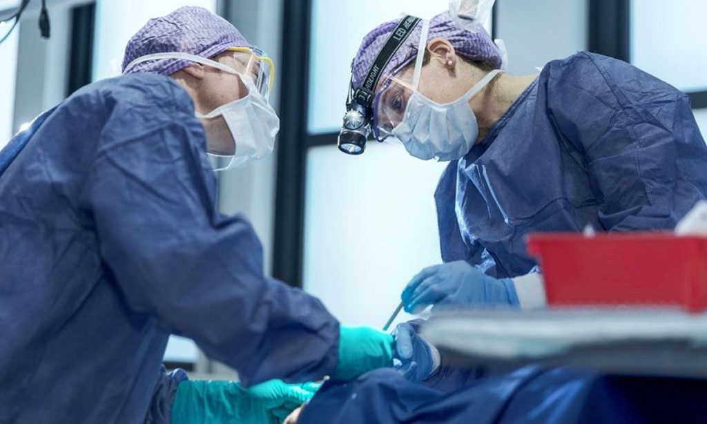 25th International Course on Reconstructive and Aesthetic Surgery of the Nose and Face